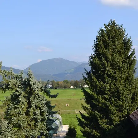 Ferienwohnung Schmiedhansl Moos Salzburg Exterior foto